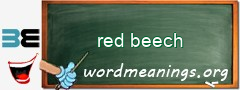WordMeaning blackboard for red beech